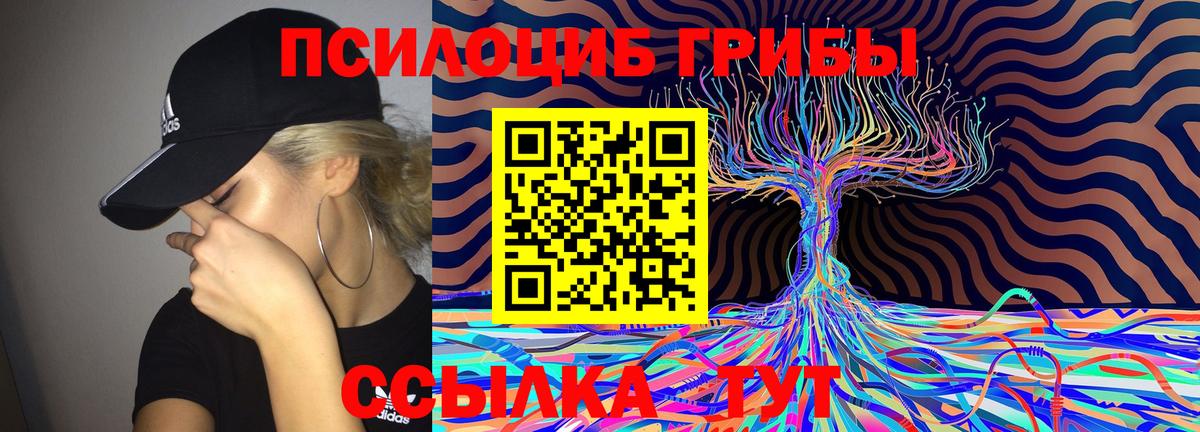 Кимры  Галлюциногенные грибы Psilocybine cubensis  Галлюциногенные грибы Magic Shrooms  Вход с VPN 
